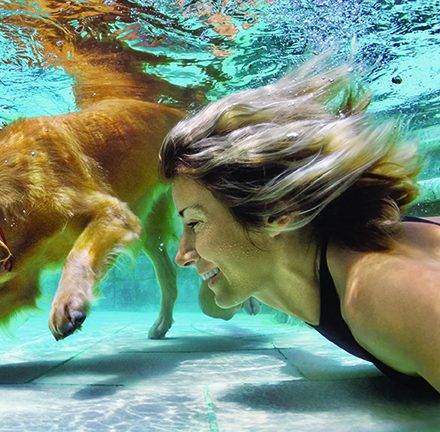 Piscine et animaux domestiques : 4 astuces pour la sécurité de votre chien